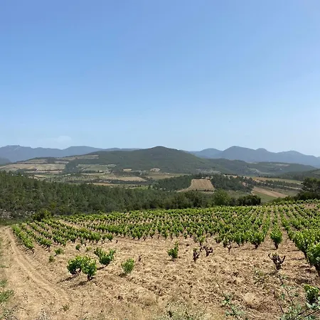 Le Miquel-appartement Centre Daire *